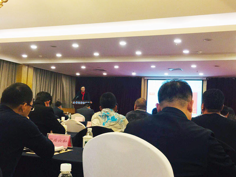 青島中新華美塑料有限公司總經理王東先生在會議廳發(fā)表演講