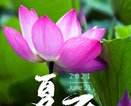 今日夏至|半夏木槿，萬物勃發(fā)，長日滿滿，青島中新華美遙祝夏安